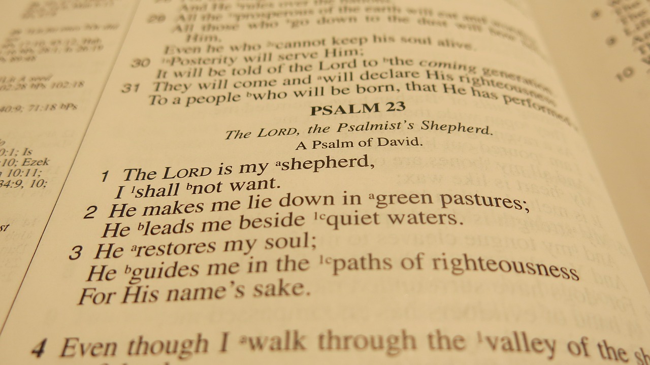 Featured image for “Study Day on Psalms: Saturday 6th June”