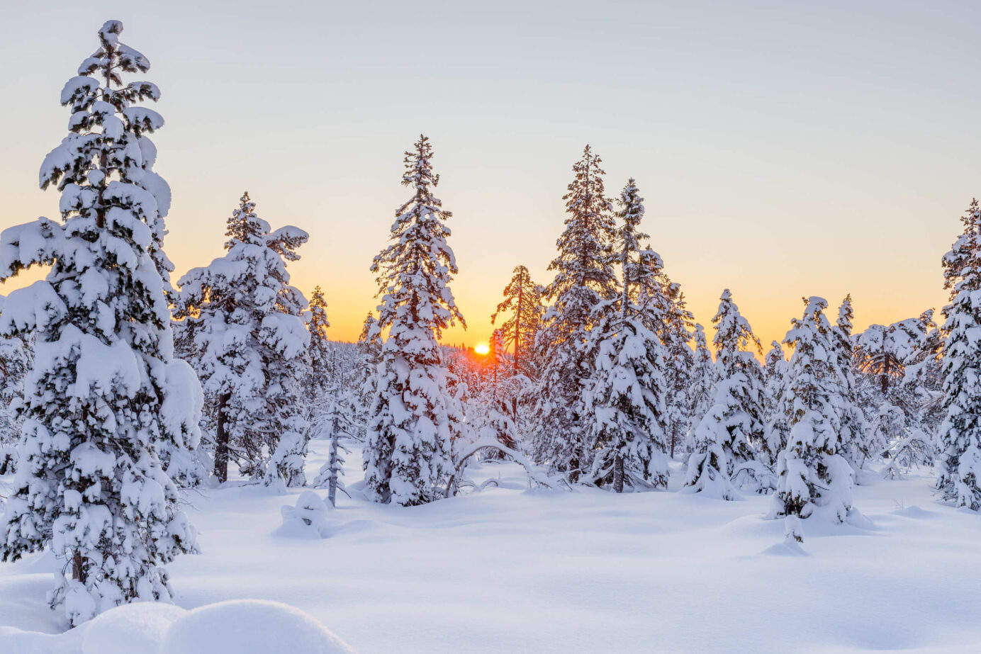 2022 winter