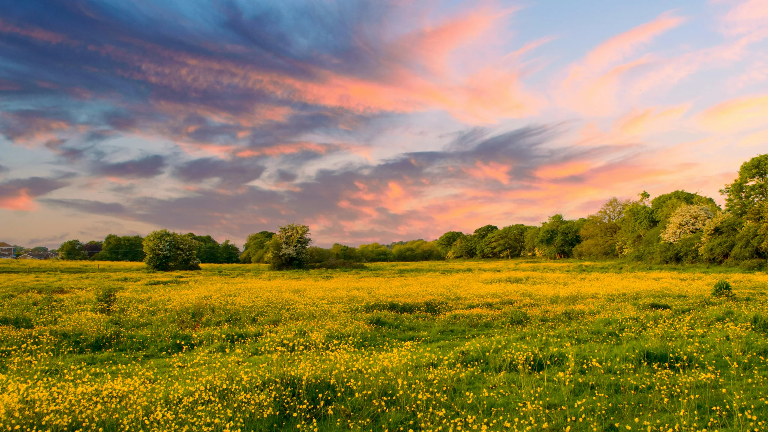 Featured image for “Secretary’s Newsletter 108 Spring 2026”